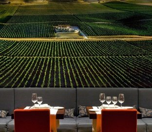 Restaurante  Vincci Frontaura Valladolid
